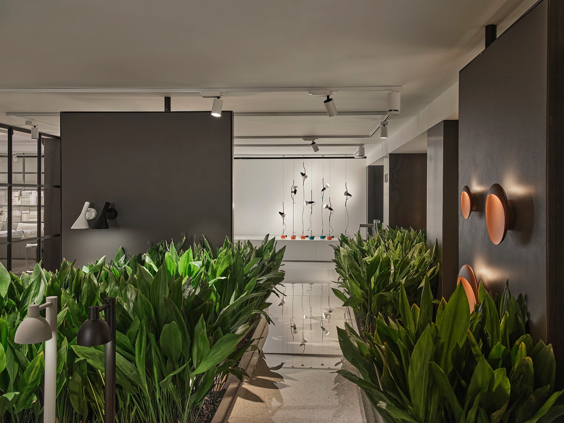 D Studio – Locatelli Partners